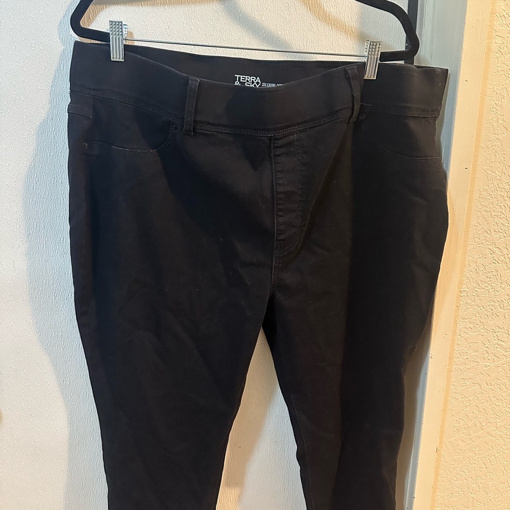 Terra & Sky Black Women's Skinny Pants